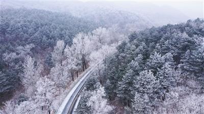 2001年生的今年几岁—解决疑惑,快速高效
